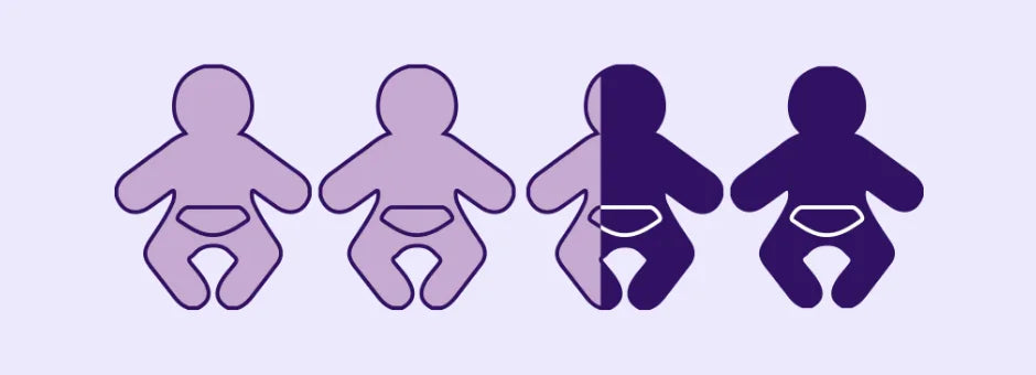 ClevaMama baby stats graphic.