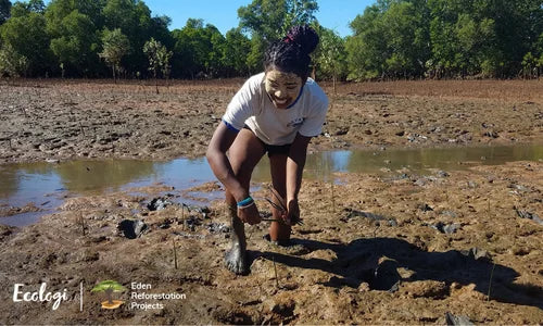 Image of woman kneeling in muddy plains for ecologi.
