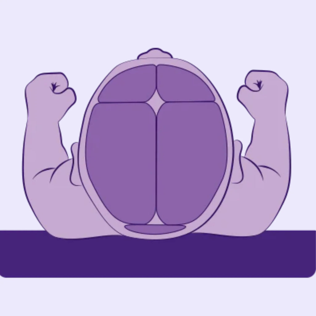 ClevaMama baby normal skull top view icon.
